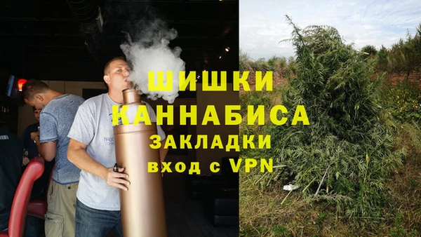 spice Новосибирск
