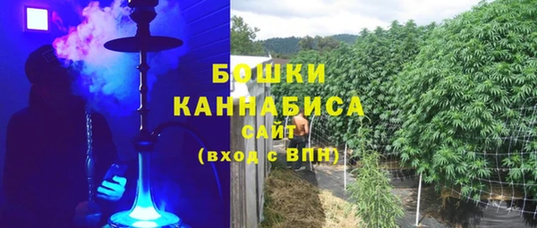 spice Новосибирск