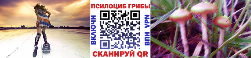 Псилоцибиновые грибы GOLDEN TEACHER  где найти   Махачкала 