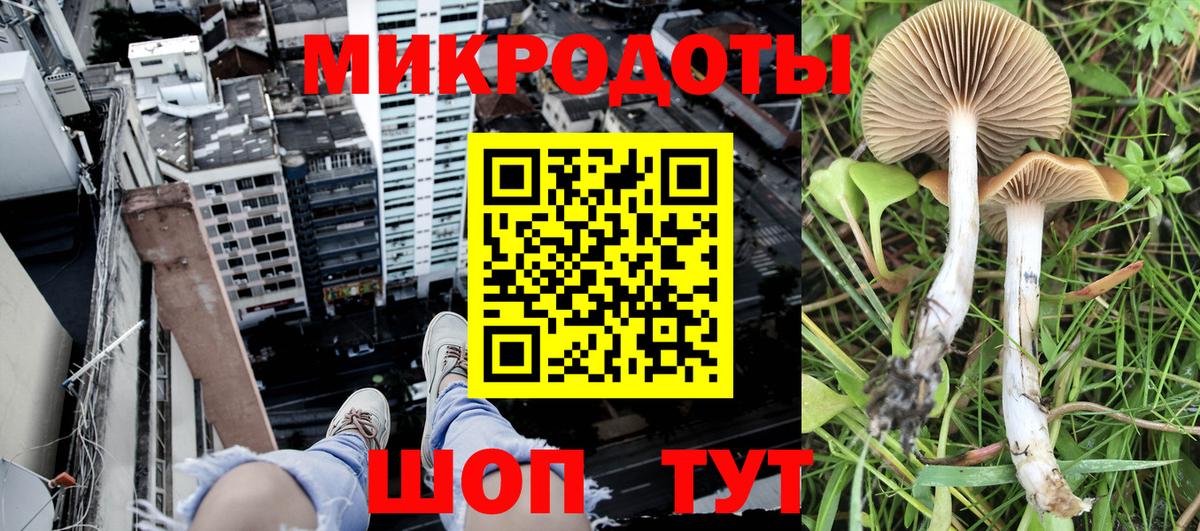Россия  Псилоцибиновые грибы MAGIC MUSHROOMS  Вход с VPN  Галлюциногенные грибы мухоморы 
