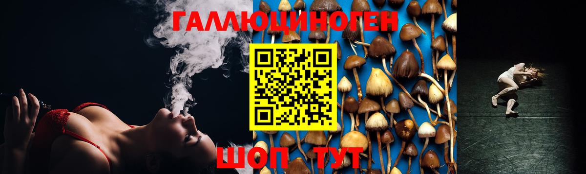 Галлюциногенные грибы ЛСД Россия